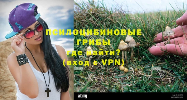 твердый Богородск