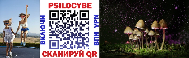 Псилоцибиновые грибы Psilocybe  Люберцы 